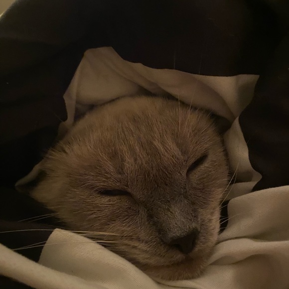 Meet your Posher, Melissa - Picture 3 of 16